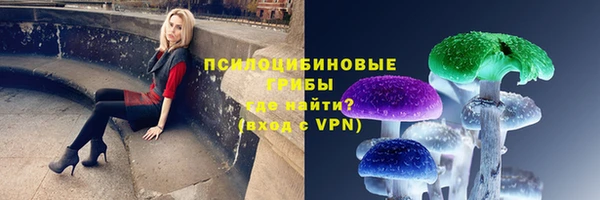 эйфоретик Балахна